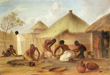 Sukkerproduksjon i Katipo - Fremstilling av panelas eller krukker til å oppbevare sukkeret i, 1859